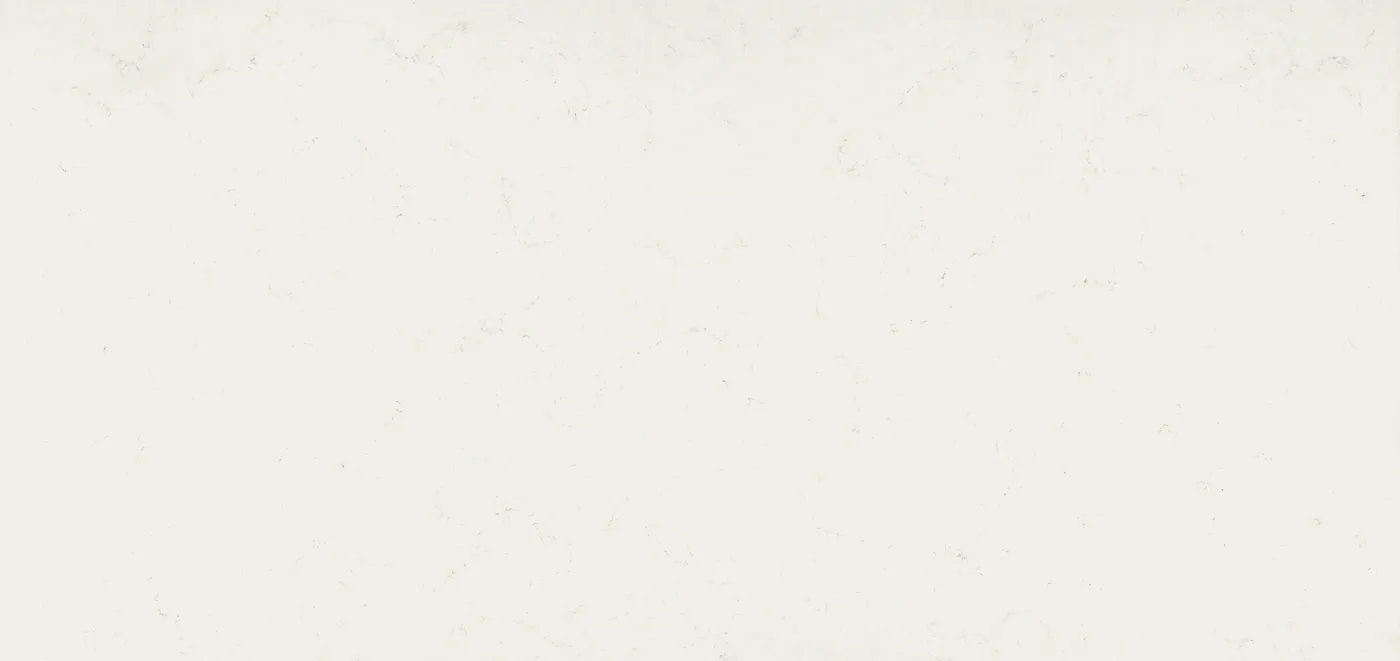 Frosty Carrina slab by Caesarstone